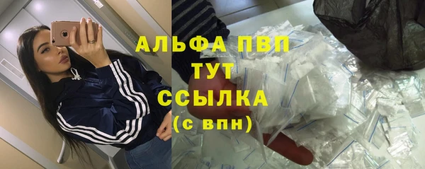 гашик Мегион