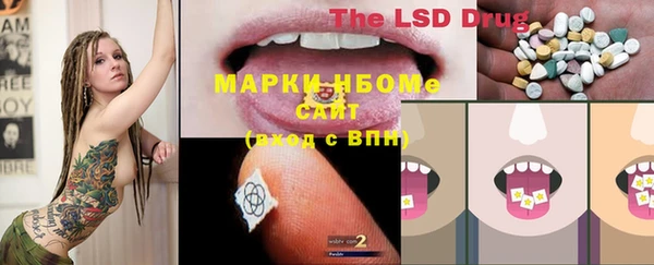крисы Медвежьегорск