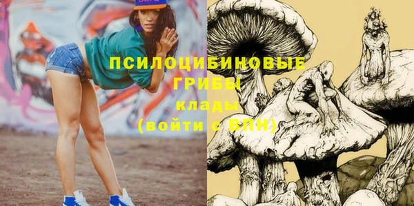 крисы Медвежьегорск