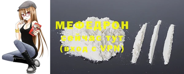 крисы Медвежьегорск