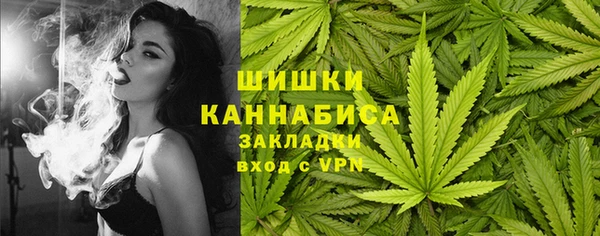 мдпв Магас
