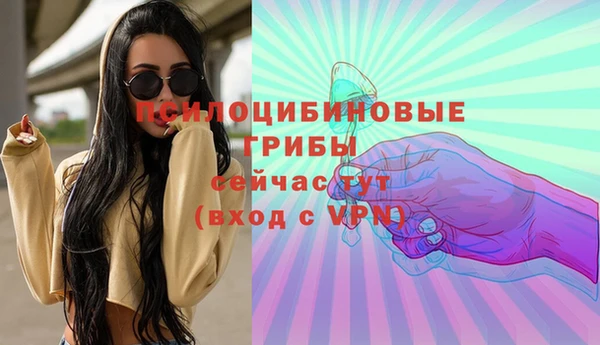 гашик Мегион