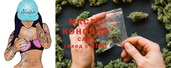 крисы Медвежьегорск