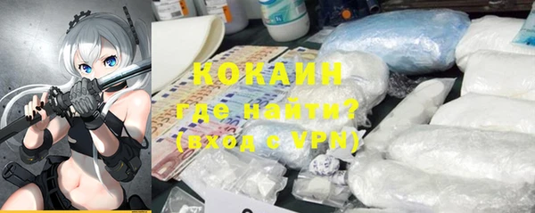 гашик Мегион