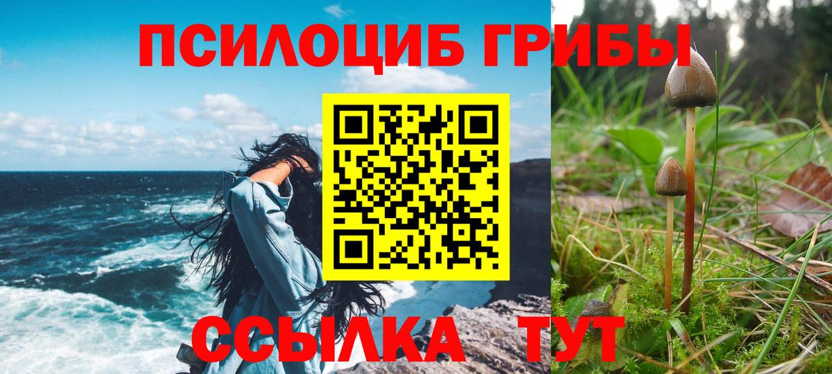 Псилоцибиновые грибы MAGIC MUSHROOMS Красноперекопск