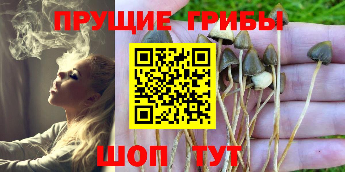 что такое   Вход с VPN  Красноперекопск  Псилоцибиновые грибы ЛСД  Псилоцибиновые грибы мухоморы 